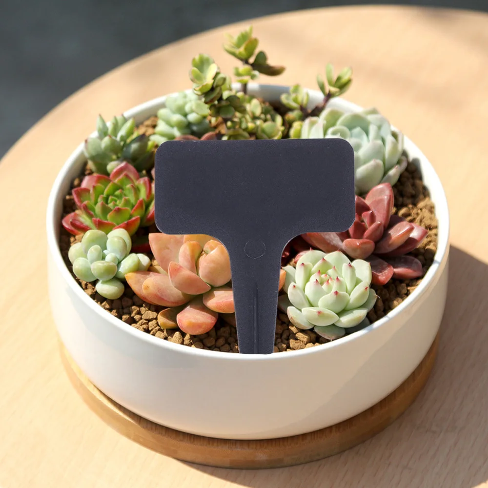 

100pcs 10x6cm Plant T-type Tags Markers Nursery Garden Labels (Black)