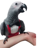 pet parrot diapers duck diaper goose washable nappy poultry flying flight suit clothes for custom christmas bow tie accessories