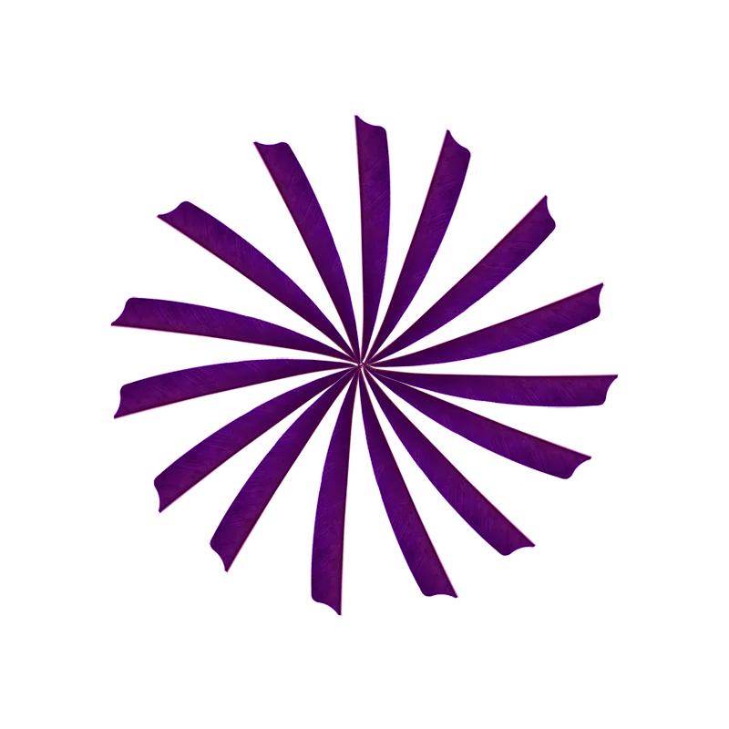 Стрелы для стрельбы из лука с пером 5 &quot насадки перьев индейки натуральные