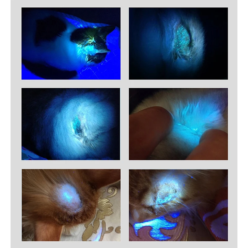 

High-Powered Black Light UV Flashlight USB Rechargeable Blacklight Flashlights for Pet Urine Detection Scorpion Bed Bug MK