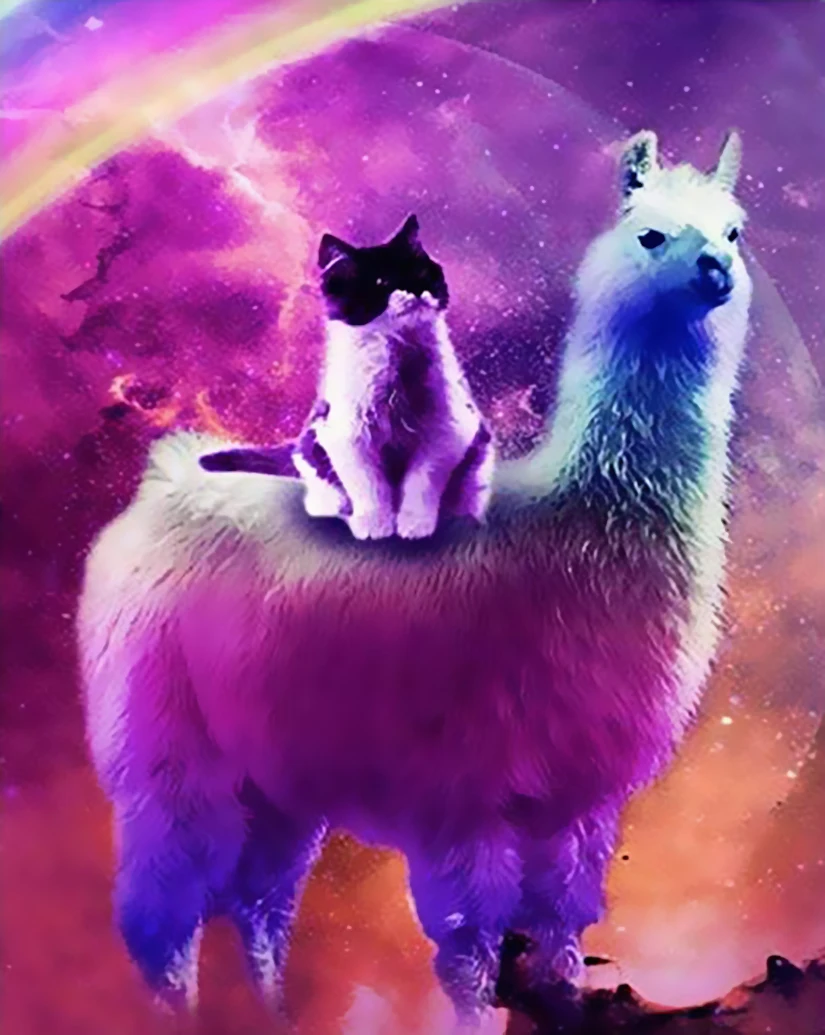 

DIY digital painting acrylic art animal digital hand-painted oil painting home decoration mural art