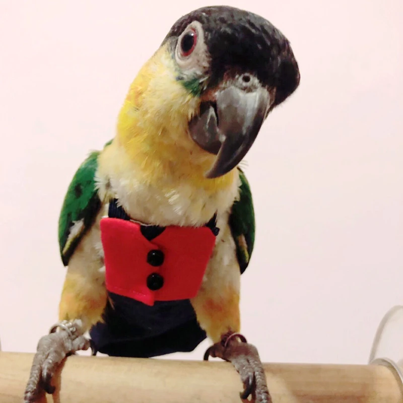 Теплая одежда для птиц ручная работа попугая мягкая ткань костюм милый Летающий
