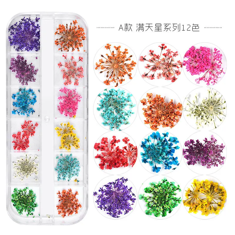 

New Japanese Nail Dried Flower 12 Colors Star Sun Flower Small Daisy 12 Colors Dried Flower Nail Decoration