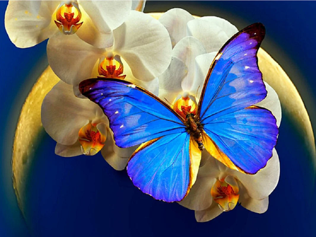 

Diamond Painting Kits Butterfly 5D DIY Full Round With AB Drill Mosaic Flowers Picture Handmade Kits Home Decoration Diamond Art