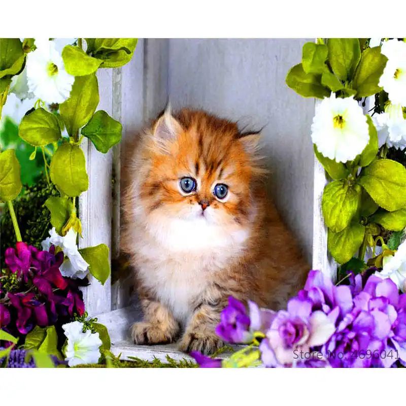 Картина по номерам рамки Раскраска домашний декор картины животные кошка