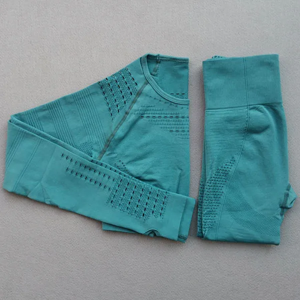 Blue 2pcs set Женский бесшовный Набор для йоги, одежда для тренировок, Топ с длинным рукавом для фитнеса+ леггинсы с высокой талией, леггинсы, 2 предмета, спортивные костюмы - Цвет: Blue 2pcs set