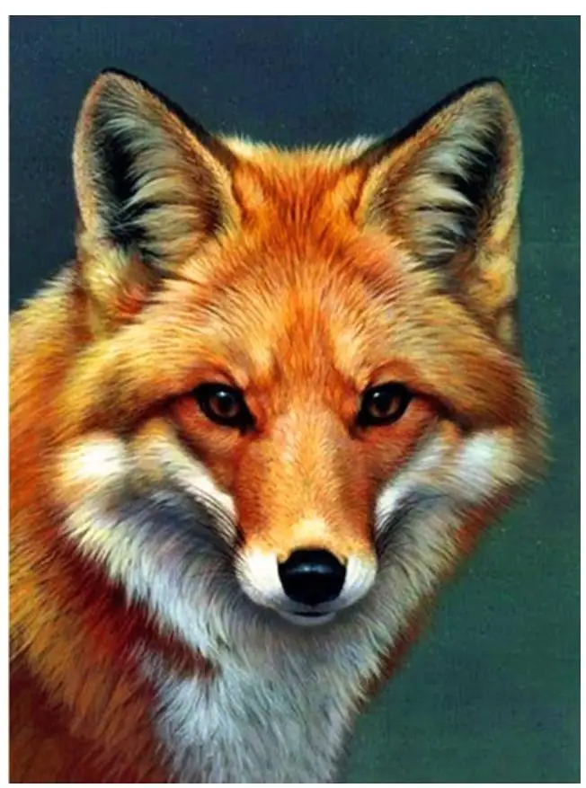Полная круглая алмазная живопись лиса мозаика вышивка животные стразы картина