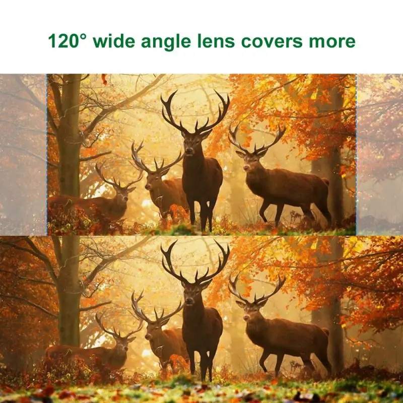 

High-quality HD 1080P Professional Hunting Trail Camera Video Wildlife Scouting Outdoor Night Vision Camera