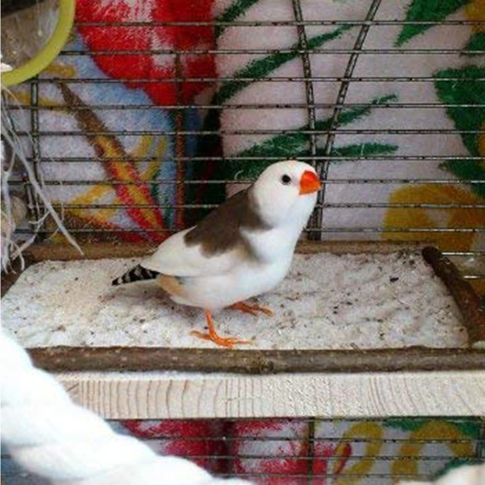 Лидер продаж! домашняя птица попугай деревянная стойка платформа окунь доска