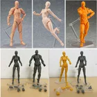 Figma Body Kun Body Chan, фигурка, архетип He She, ферритовая Коллекционная модель, игрушечная кукла с стенд для куклы