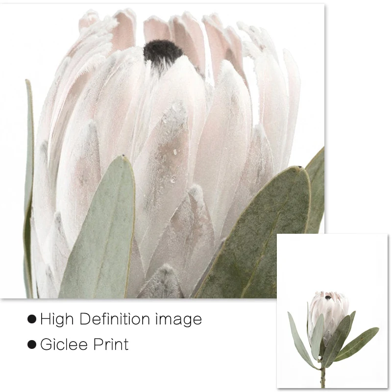 Protea с принтом растительный настенный Декор для дома цветы холст картина