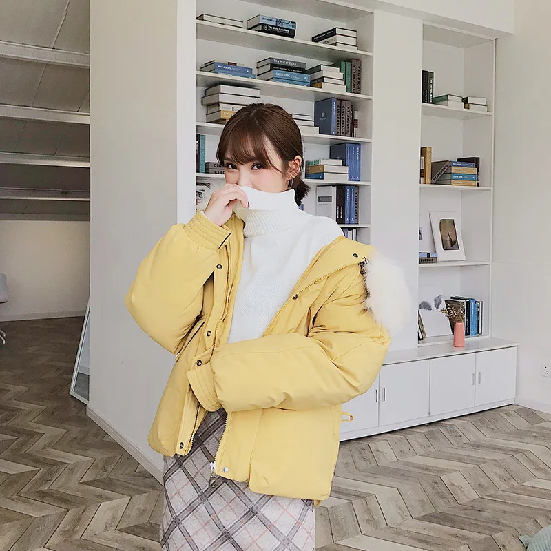 Модная женская новая Корейская зимняя хлопковая одежда куртка утолщенная