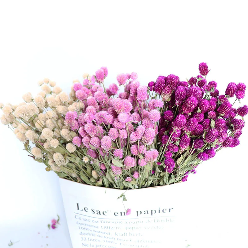 

Naturally Plant Dried Flower Purple Red Globe Amaranth Bouquet For Home Party DIY Gifts Colorful Wedding Decoration Accessories
