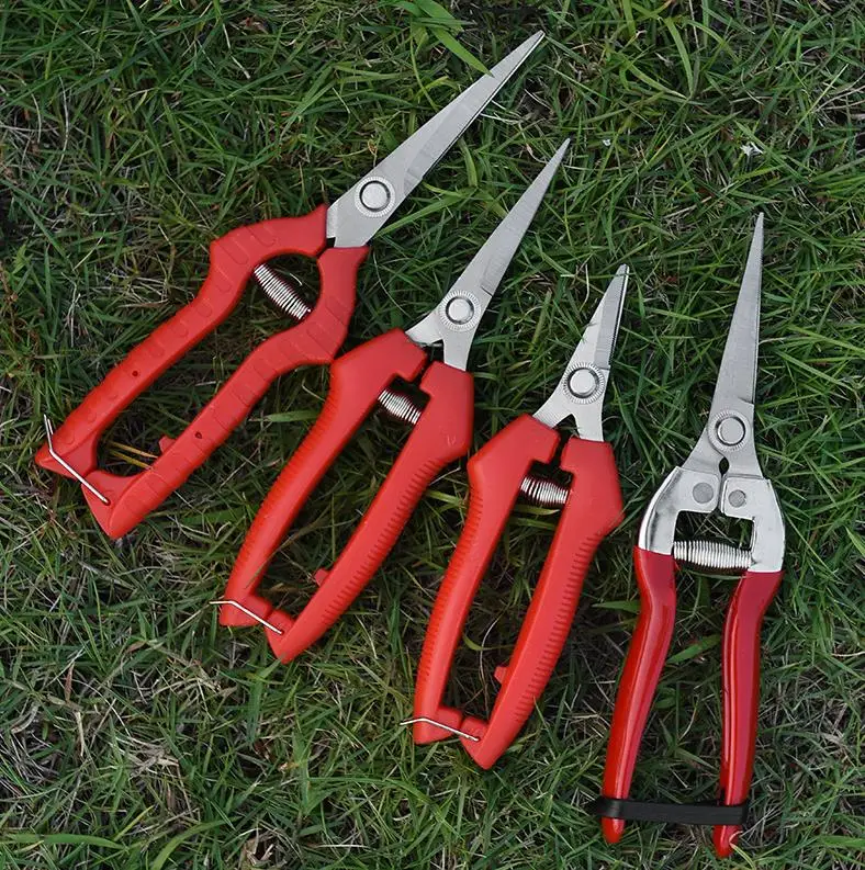 

Stainless branch pruning shears picking litchi longan scissors garden fruit tree flower grafting knife gardening scissors tool