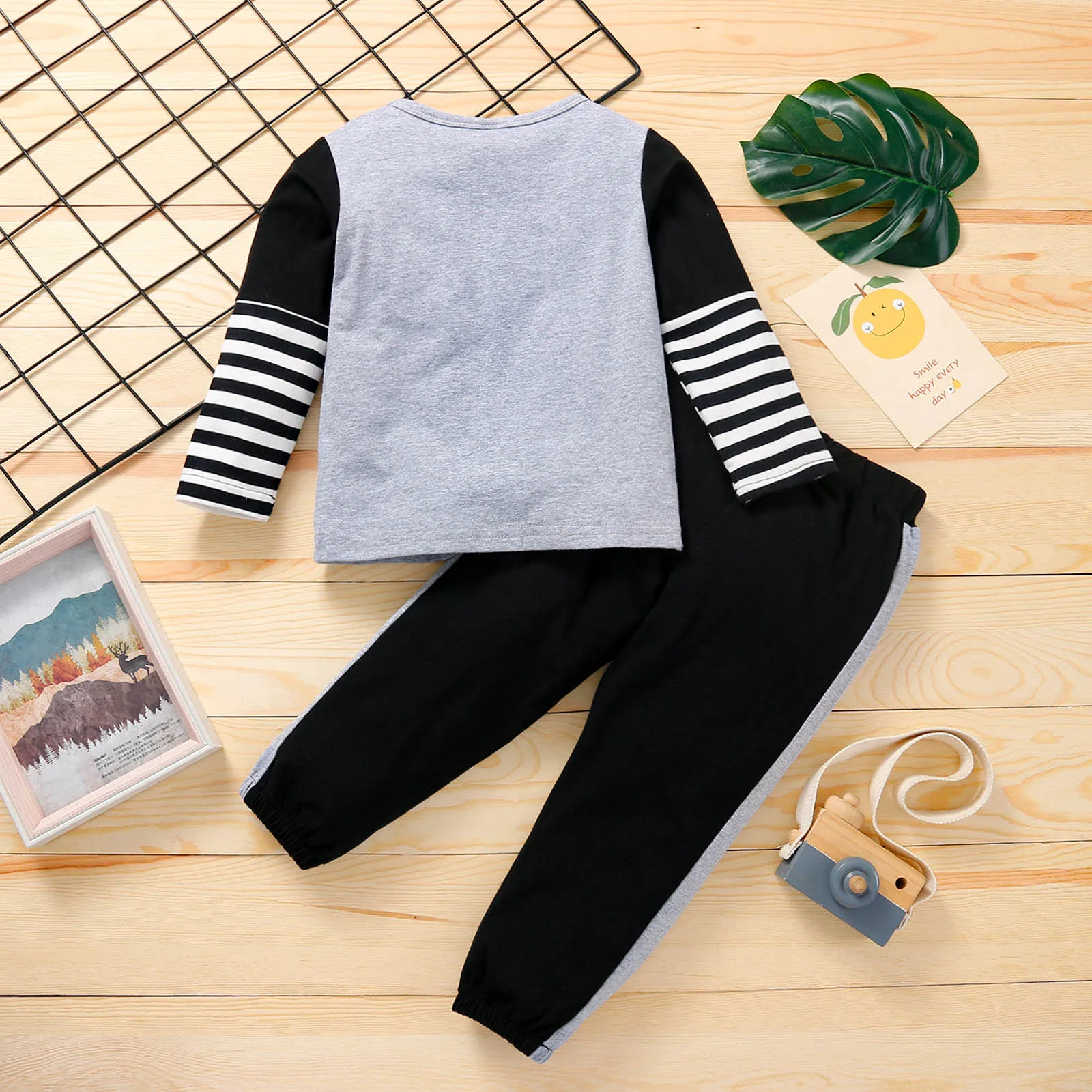 Повседневный комплект одежды из двух предметов для мальчиков пуловер с принтом