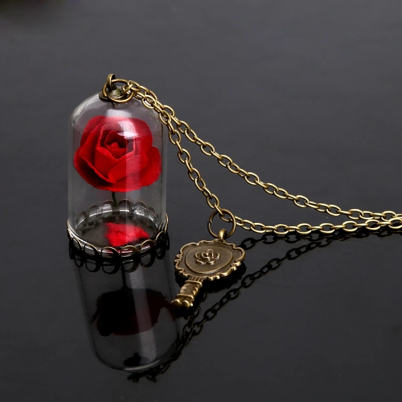 

Women Romantic Dried Flowers Glass Bronze Long Chain Beauty and Beast Necklaces