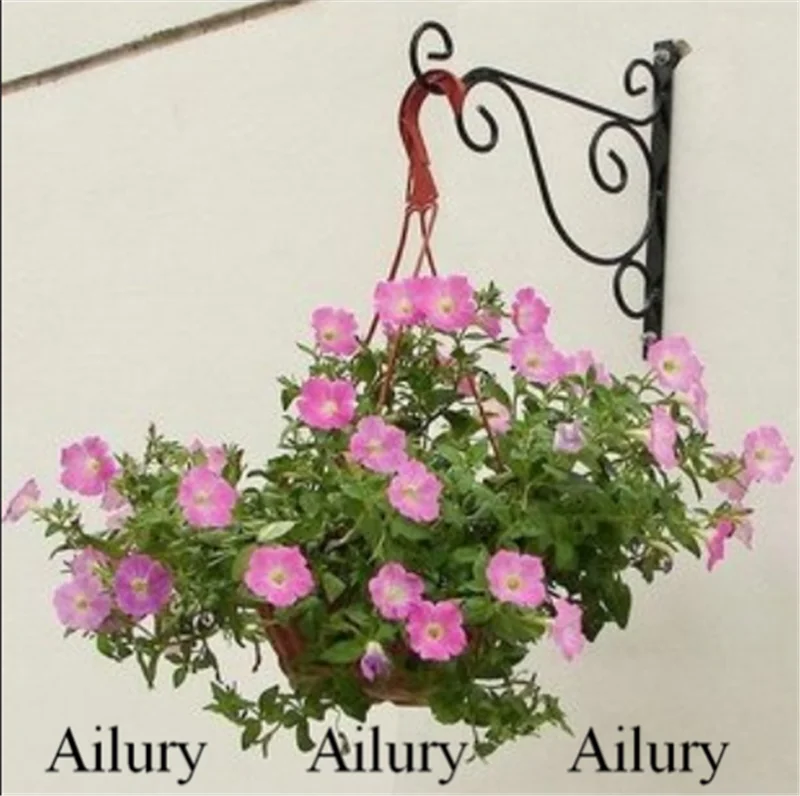 

European style wall hanging flower stand, gardening simple wrought iron hook balcony wall hanging orchid bracket hanger