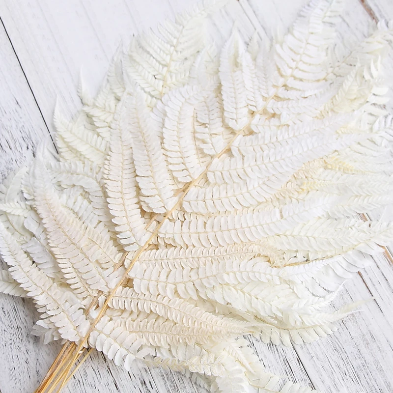 

10pcs Artificial Leaves Natural Dried Preserved Plants Fern Leaf, Fleur Room Ornaments Balcony Gazebos Wedding Decoration Table