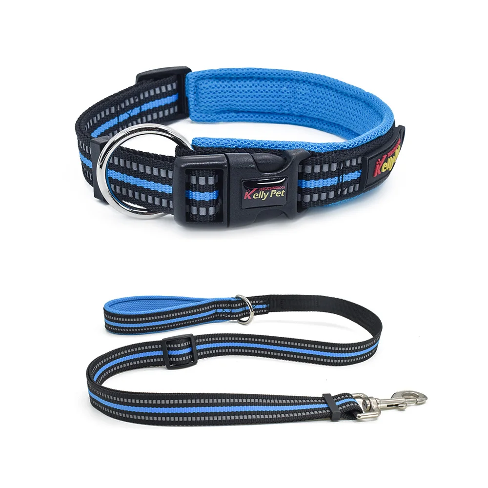 Dog Collar Leash Set Nylon Reflective Pet Collar Dog Rope Walking Training Puppy Collar Pet Dog Lead Leash For Medium Small Dogs - Цвет: Blue set