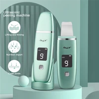 ckeyin lcd digital ultrasonic skin scrubber lift machine deep face cleaning peelinghandheld facial humidifier steamer hydrating