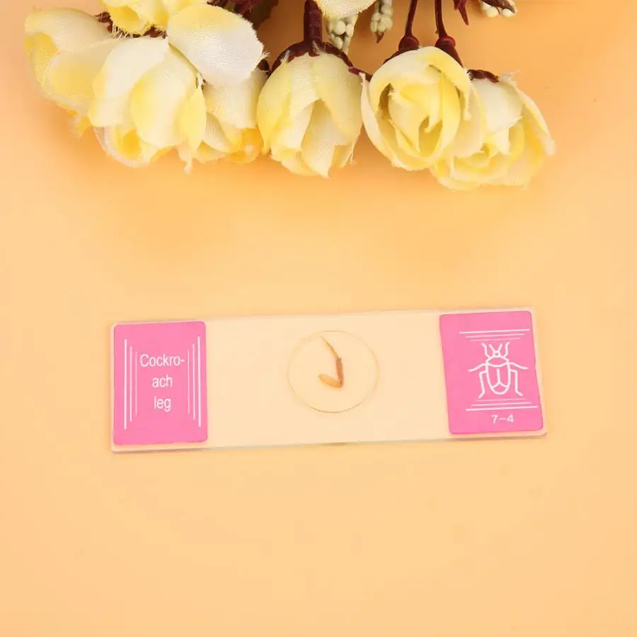 Стеклянные слайды подготовленные для микроскопа лабораторные образцы набор