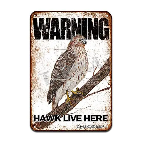 Предупреждение Орел жизнь здесь железа плаката картина жестяная вывеска Винтаж