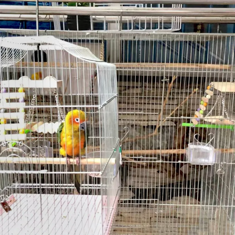 

3pcs Wooden Springboard Ladder Swing Stand Toy Parrots Birds Pets Parrots Ladders Cage Climbing Toy Hanging Platform Finches