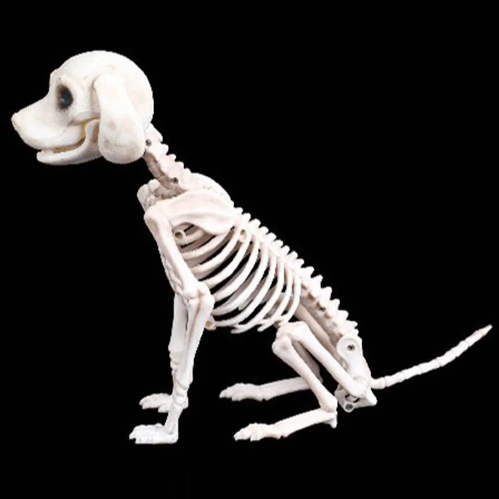 

Halloween Skeleton Dog Prop Animal Bones Party Ornament Shop Decoration Horror Dog skeleton skull Halloween horror decoration