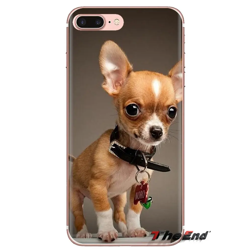Для iPhone XS Max XR X 4 4S 5 5S 5C SE 6 6S 7 8 плюс samsung Galaxy J1 J3 J5 J7 A3 A5 собака породы Чихуахуа щенок