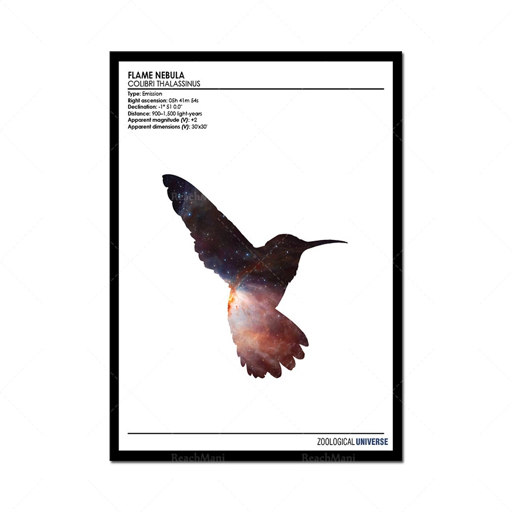 Серия плакатов Зотология Вселенной // Минималистичный принт силуэта животных