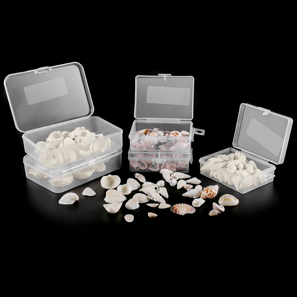 Раковины из натуральных морских ракушек инструмент для розлива стиль