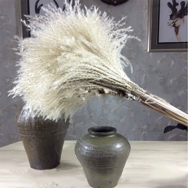 

30pcs Pampas Grass Small Natural Dried Phragmites Communis Reed Flower Garden Decor Natural Real Wheat Wedding Shoot Props