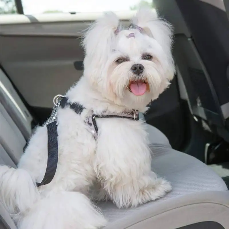 60Pcs Swivel Snap Hooks And D Rings For Lanyard Sewing Projects (1 inch Inside Width) | Украшения и аксессуары