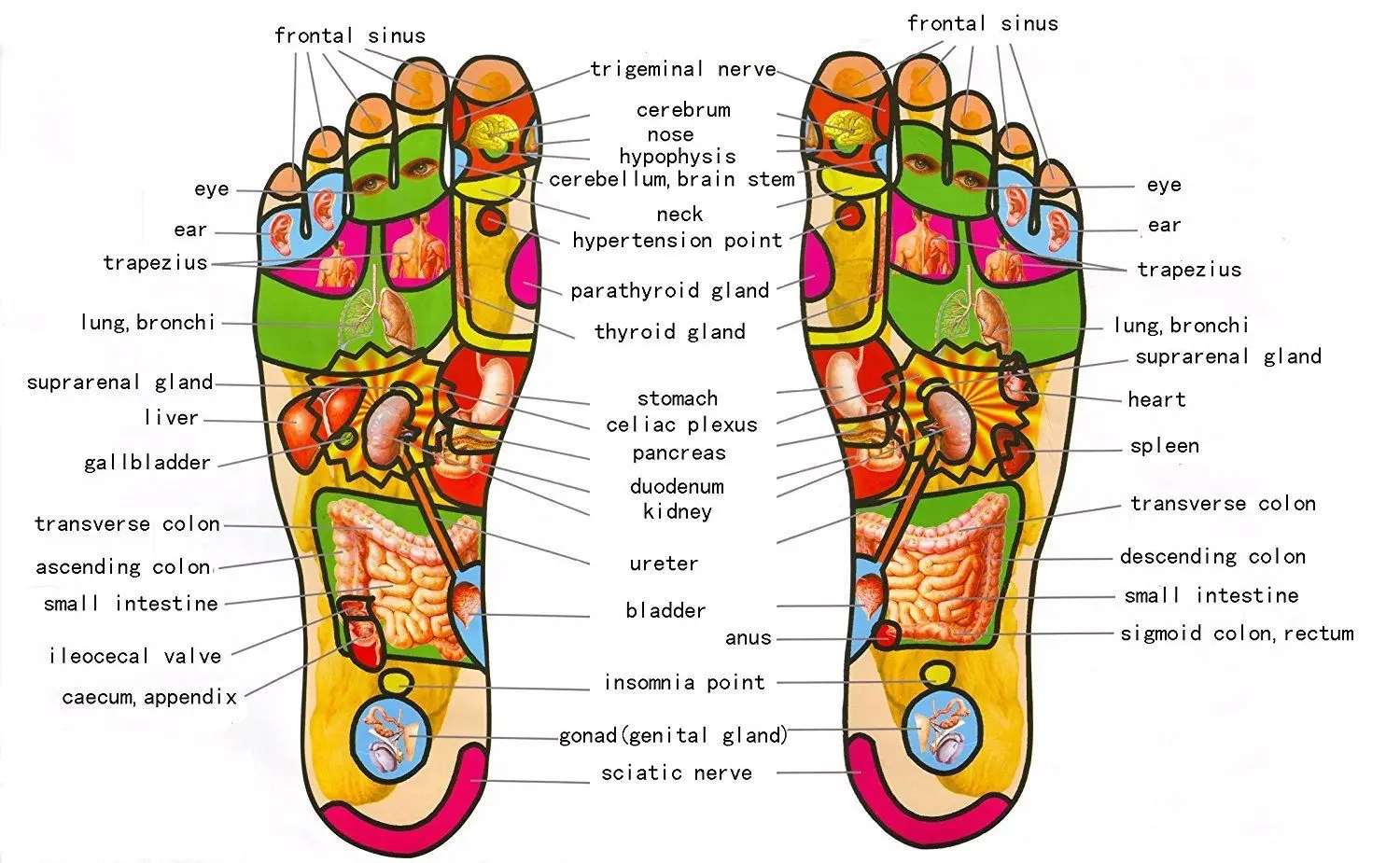

3 5 Row Wooden Foot Roller Wood Care Massage Reflexology Relax Relief Massager Spa Gift Anti Cellulite Foot Massager Care Tool
