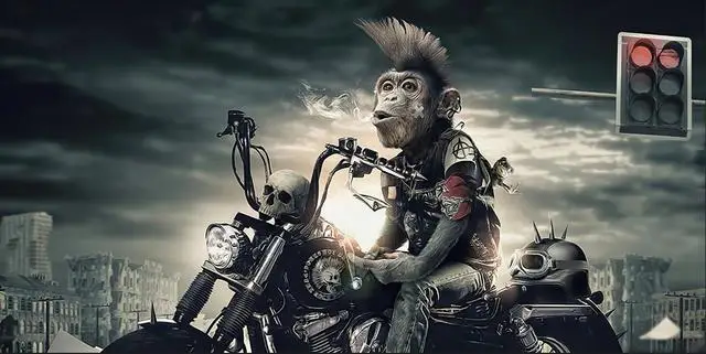 

Картина "Забавная обезьяна на мотоцикле" на холсте