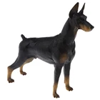 Реалистичная модель добермана, ПВХ модель животного на ферме, фигурка героя, игровой набор, Детская развивающая игрушка, коллекционные предметы