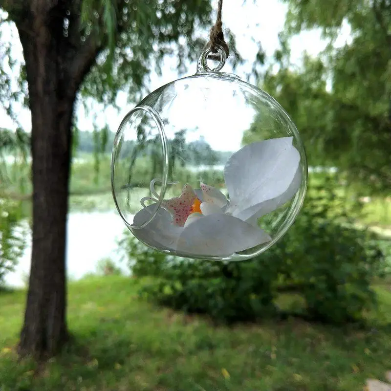

10 cm Creative Hanging Glass Vase Succulent Air Plant Display Terrarium,Decorative Clear Glass Globe, Hanging Air Plant Terrariu