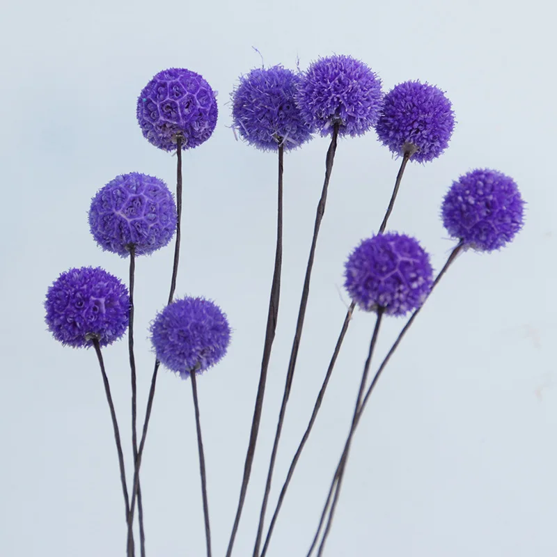 

Immortal Passepartout Maple Fruit Ins Handmade Dried Flower Arrangement Creative Ornaments Photography Props Home Decoration