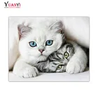 Полностью квадратнаякруглая дрель 5D DIY Алмазная картина животное кошка 3D Алмазная вышивка крестиком Мозаика Стразы домашний декор