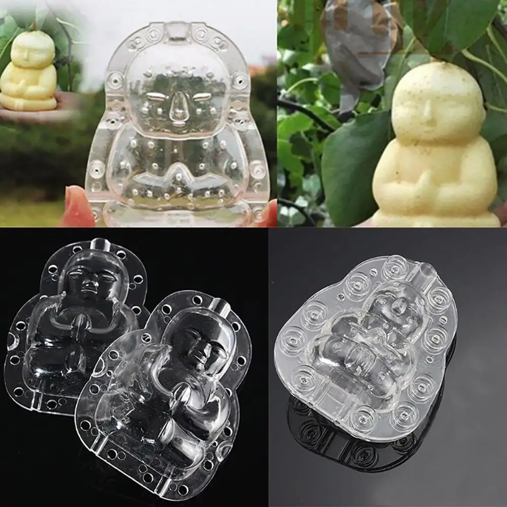 

Transparent Buddha-shaped Garden Fruits Apple Pear Peach Ginseng Fruit Growth Mold Shaping Tool Gardening Supplies Orchard Tools