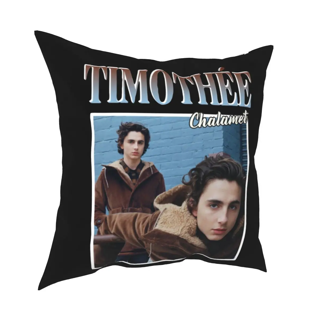 

Timothee Chalamet Kissenbezüge Hause Timmy Elio CMBYN Wenig Frauen Kissen Fall Hause Dekoration Kissen Abdeckung 45*45cm