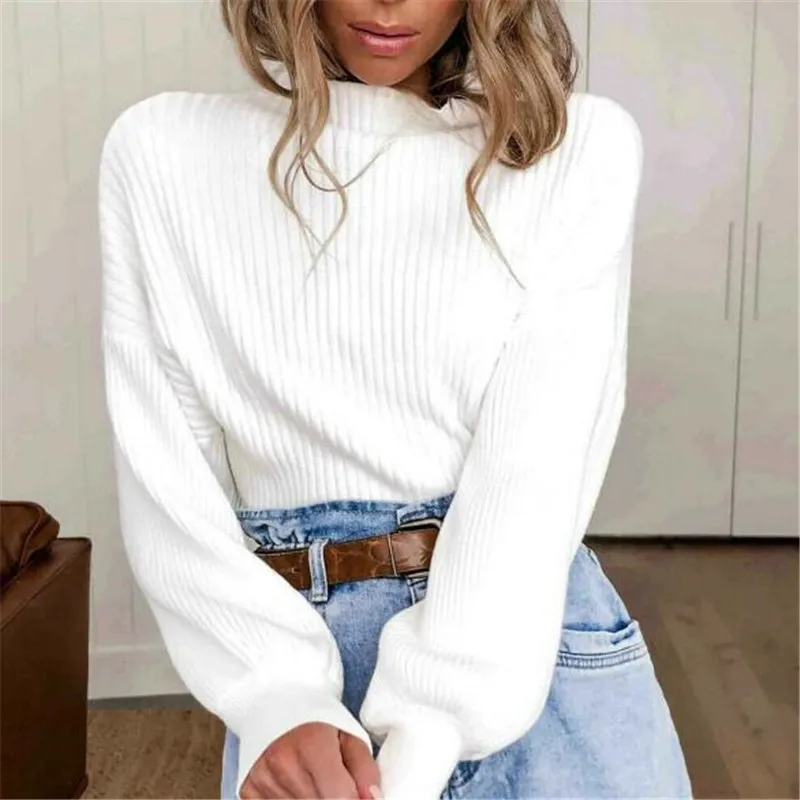 Women Long Sleeve Baggy Autumn Winter Sweaters Lady Casual Top Jumper Sweater High Neck White Pullover Knitwear | Женская одежда