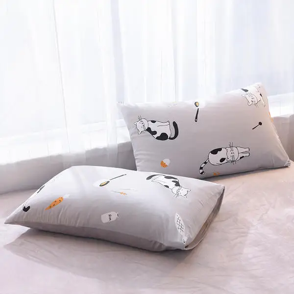 1 шт. постельный комплект Зимний теплый хлопок/фланель пододеяльник спальные