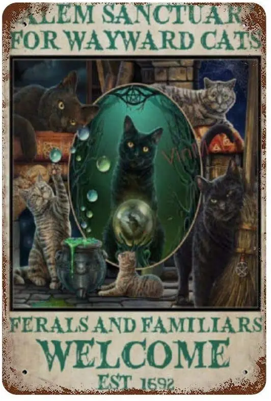 

Aluminum Sign,Cat Witch Salem Sanctuary Tin Sign Wall Art Decor Metal Sign, Public Sign, Decoration Sign 8 X 12 Inches