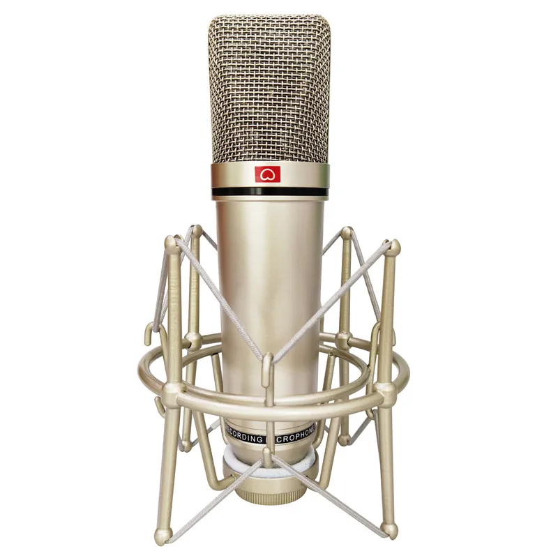 

Microphone Condenser Professional Studio Large Diaphragm Microphone For Computer Vocal Recording PC Podcast Gaming