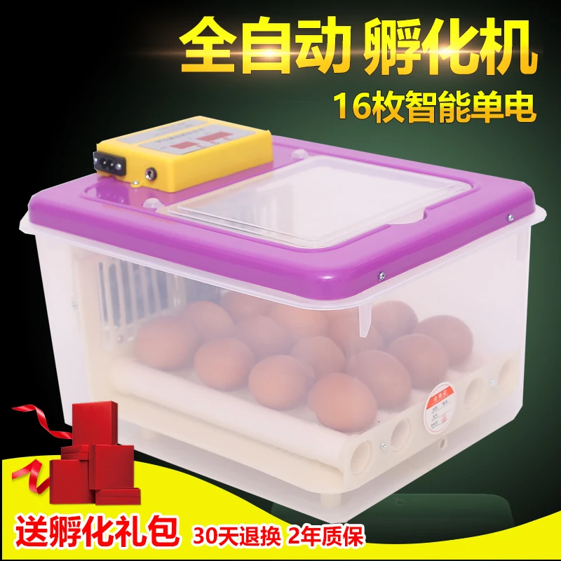 Инкубатор для яиц китайский прозрачный наблюдения различные лотки небольшой