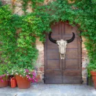 Сделай Сам, корова, Череп, дверь, подвесной декор, настенное украшение, домашний декор, украшение с подвесным отверстием, наружная дверь, jardineria, декорации # Y10