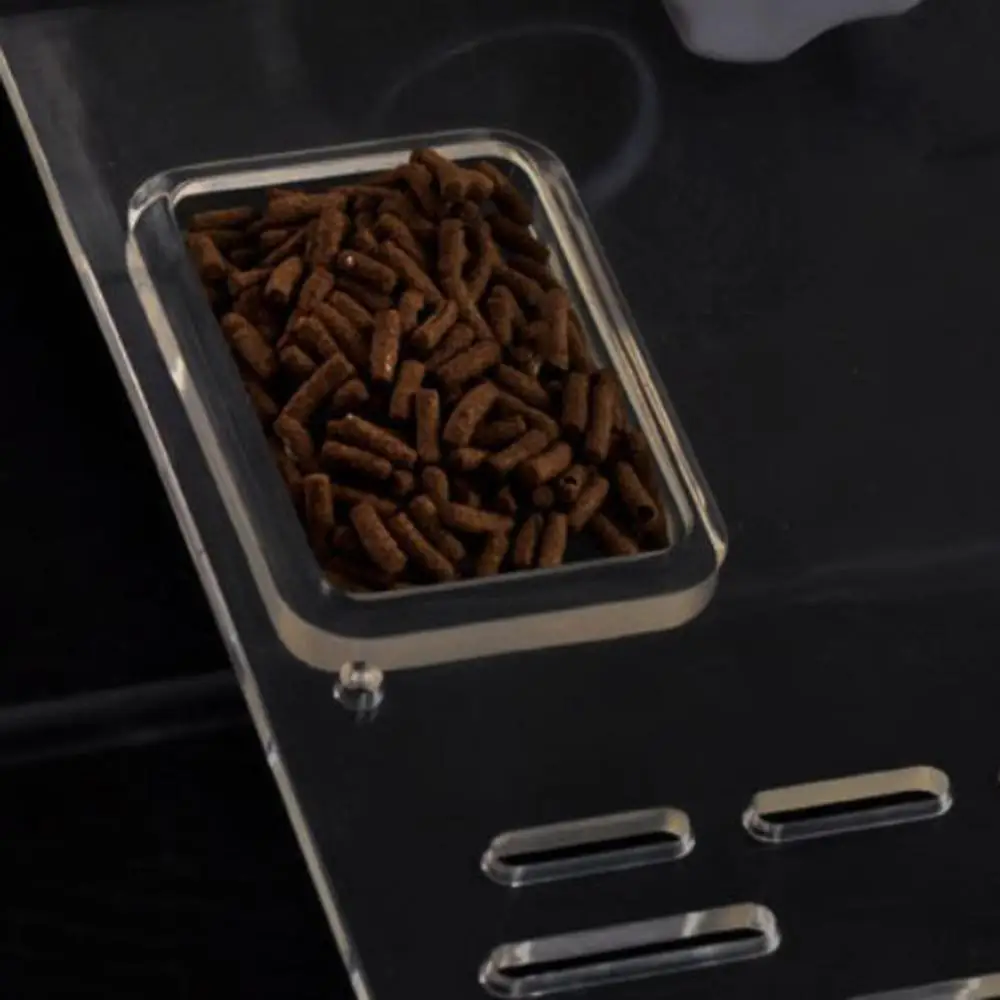 Рептилия черепаха Плавающая Платформа прозрачная раковина пристани для