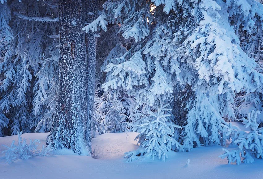 

Photophone 2020 Snow forest photo background vinyl baby Christmas photography backdrop for photo studio kits accessories lv-2091