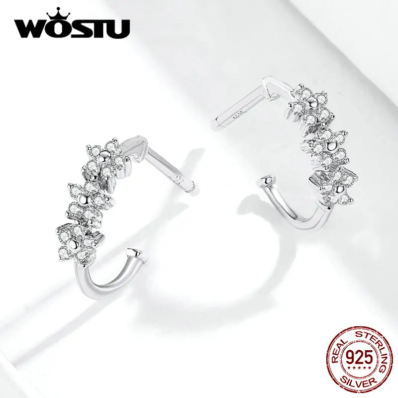 WOSTU цветок серьги гвоздики 925 пробы серебряные серьги для свадьбы и помолвки для женщин модные ювелирные изделия подарки FIE756